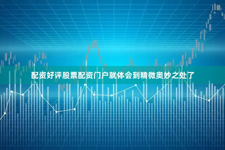 配资好评股票配资门户就体会到精微奥妙之处了