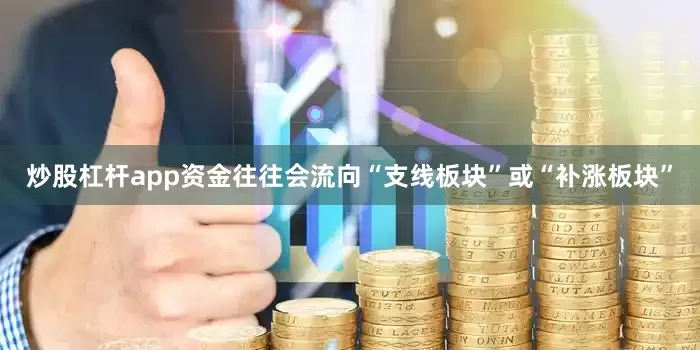 炒股杠杆app资金往往会流向“支线板块”或“补涨板块”