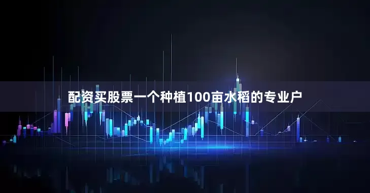 配资买股票一个种植100亩水稻的专业户